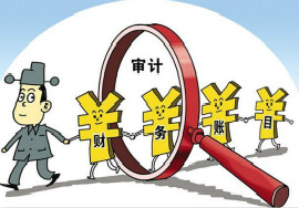 【了解】你想知道的审计报告之二维码篇