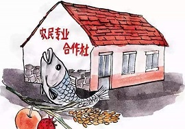 【快看】哪些农产品享受增值税免税政策？