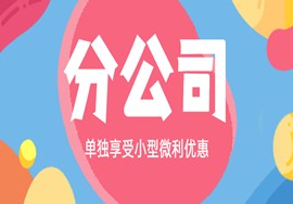 不论是否独立核算，分公司都无法单独享受小型微利的优惠
