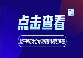 点击查看|财产和行为合并申报操作指引来啦
