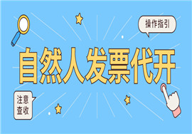 自然人如何申请代开发票？操作指引来啦！