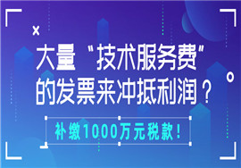 大量“技术服务费”发票冲抵利润？补缴1000万元税款！