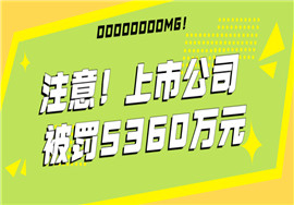 虚构股权转让收入造假26亿元，上市公司被罚5360万元！