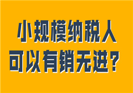 小规模有销无进，未提供任何进项，有哪些涉税风险？