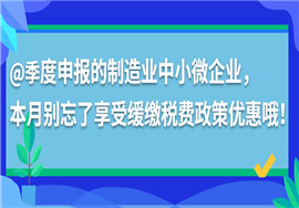 季度申报的制造业中小微企业，别忘了享受这项政策优惠！