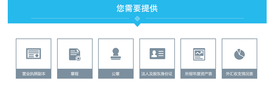 外资企业年度年检.png